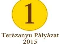 Te miért dolgozol? Terézanyu Pályázat 2015