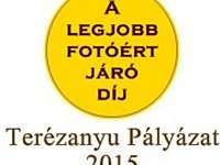 Te miért dolgozol? Terézanyu Pályázat 2015