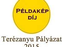 Te miért dolgozol? Terézanyu Pályázat 2015