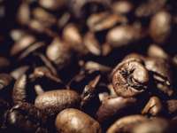 A kávépörkölés alapjai